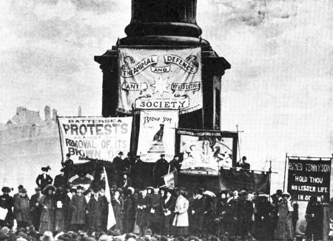 Englische Frauen- und Tierrechtlerinnen demonstrieren 1910 gegen die Entfernung des Brown-Dog-Denkmals.