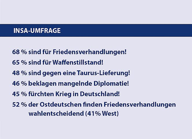 Die Umfrage wurde von INSA zwischen dem 2. und 5. August 2024 durchgeführt, Basis: 2002 Befragte.