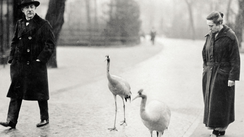 Die Heinroths 1925 beim gemeinsamen Spaziergang mit ihren Kranichen. Foto: Oskar Heinroth/Knesebeck Verlag